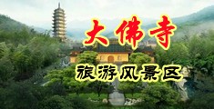 插逼爽歪歪中国浙江-新昌大佛寺旅游风景区